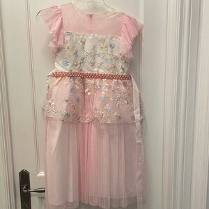 Little Miss Aoki Soft Pink Mesh Dress🏥